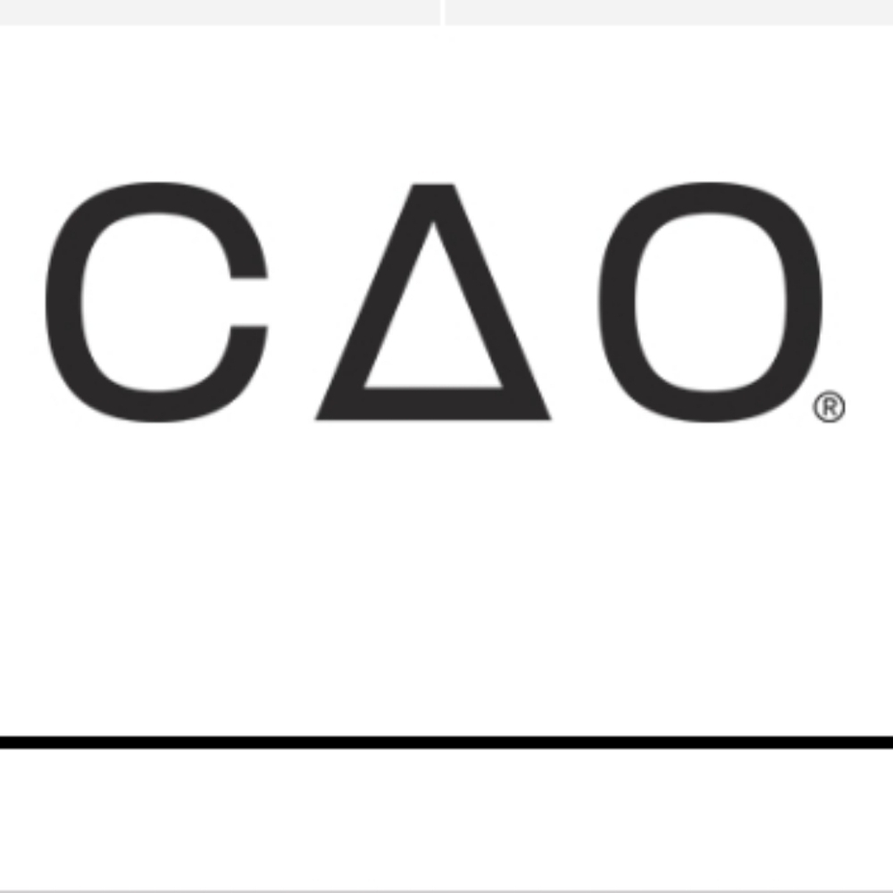 Cao professional eye makeup single shadow base color BARE - Picture 8 of 9